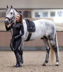 Longiergurt ROSÉ schwarz Pony