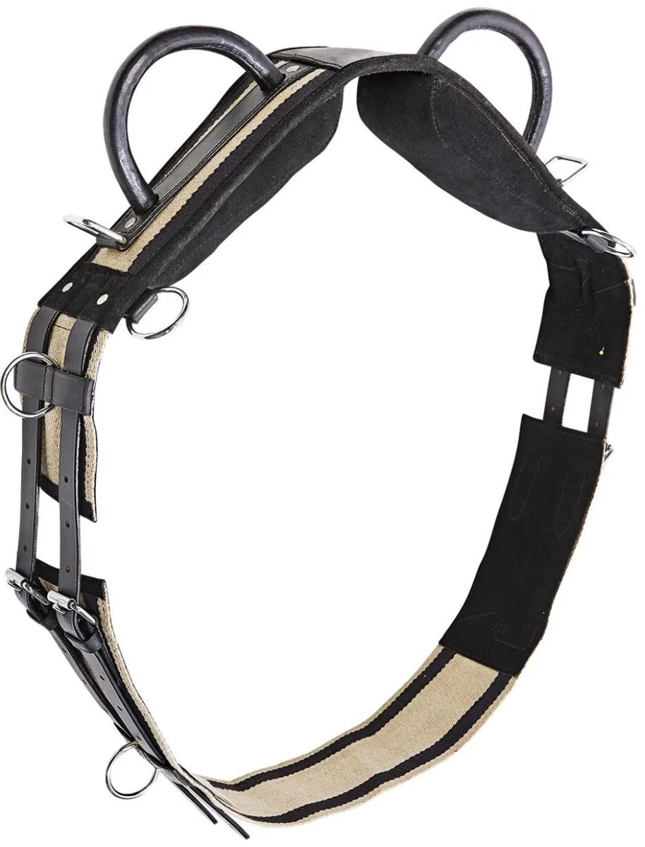 Busse Longiergurt DOUBLE, schwarz P - Busse - FashionsVida