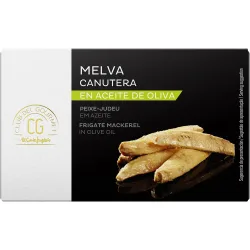 Melva canutera en aceite de oliva