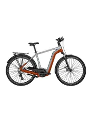 Herren E-Bike E-Horizon Edition LTD Gent silber 52 M