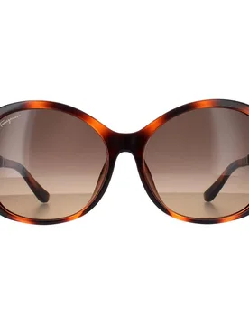 Women's Butterfly Tortoise Brown Gradient SF744SLA Sunglasses - Brown - Size: One Size - Salvatore Ferragamo - FashionsVida
