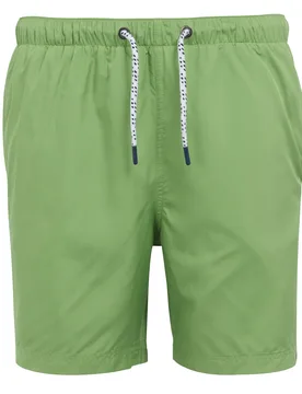 Mens Mackleyna Swim Shorts (Piquant Green) - Light Green - Size 3xl - Regatta - FashionsVida