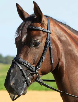 Nüsternschutz Fly Protector, schwarz G-Pony - Busse - FashionsVida
