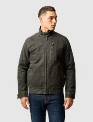 The Jack Canvas Harrington Jacket Dark Brown male