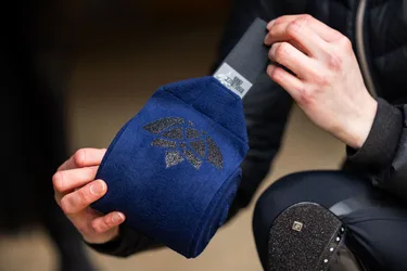 Bandagen REGULAR Royal Glitter, navy
