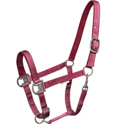 Halfter GLOOMY bordeaux PONY