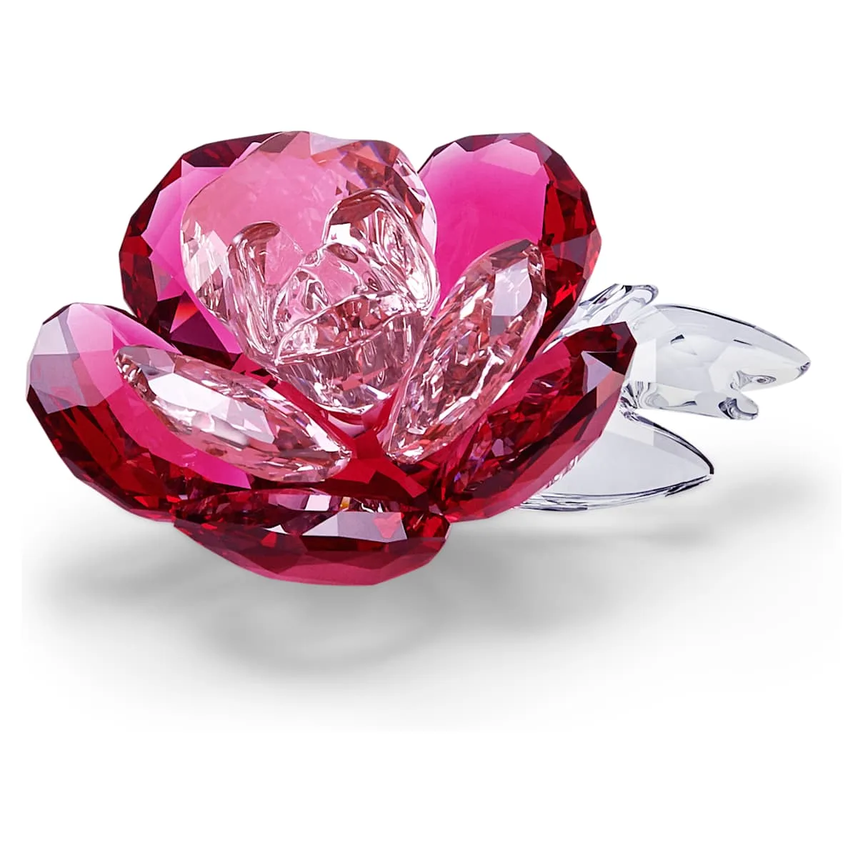 Swarovski Crystal Flowers Peonia OS - Swarovski - FashionsVida