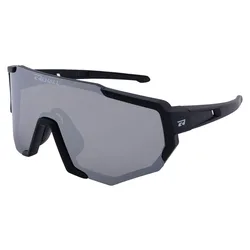 Occhiali Da Sole Aero-r Silver