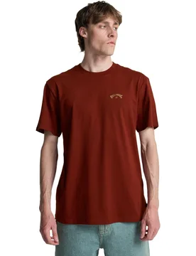 Camiseta de hombre Arch Wave - Billabong - FashionsVida