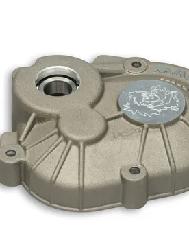 Carter Ingranaggi Roller Crankcase Per Motori Piaggio Vespa S 4v 50 4t Euro 2 (C386m) - Malossi - FashionsVida