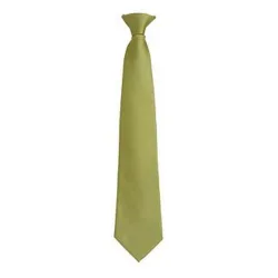 Mens Fashion ”colours” Work Clip On Tie (Grass) - Green - One Size