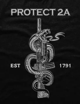 EST 1971 Protect 2A. unique Snake gun graphic Patriotic T-Shirt. Summer Cotton O-Neck Short Sleeve Mens T Shirt New S-3XL - Aliexpress - FashionsVida