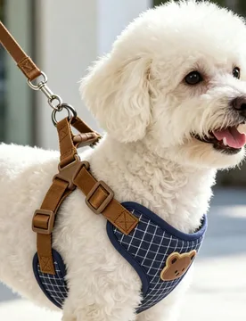 Juego de correa para mascotas transpirable y cómodo con tela de cuadros azul clásico y estampado de osito lindo, diseñado para perros Teddy pequeñ - Shein - FashionsVida