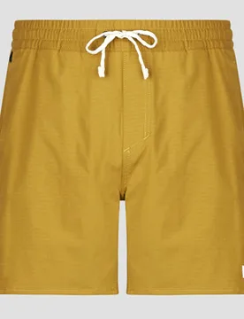Shorts M'S Home Waters Volley Shorts - 16 In. Eu S;Eu M Male - Patagonia - FashionsVida