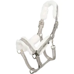 Halfter HVP WELMOED SHINE kit Cob