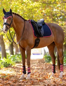 Schabracke Suede Dressage Square, L, navy/cranberry, DR - Le Mieux - FashionsVida