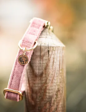 Kentucky Dogwear Hundehalsband VELVET altrosé S - Kentucky Horsewear - FashionsVida