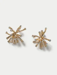 Metal Spray Earrings Gold female
