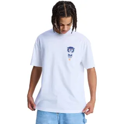 Camiseta de hombre DC Tiger Bite
