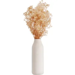 Artisan - Paniculata Blan