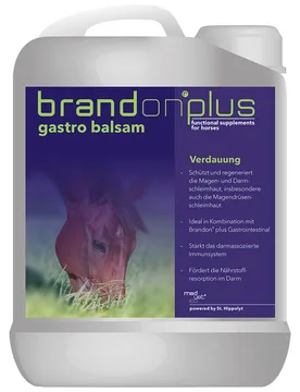 Brandon plus gastro balsam 2,5 Liter - St. Hippolyt - FashionsVida
