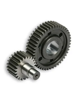 Ingranaggi Secondari Htq Z 22 / 45 Vespa Gts Touring Hpe 300 Ie 4t Lc Euro 5 2021-2022 (Md31m) - Malossi - FashionsVida
