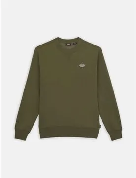 Kapuzensweaters 86871 Eu S;Eu Xs Male - Dickies - FashionsVida