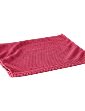 Mikrofaser Cooling Handtuch, rose - Cool Towel - FashionsVida