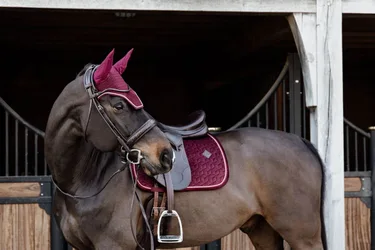Schabracke VELVET bordeaux DR