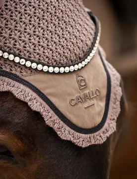 Fliegenohren CAVALPERLA mocha latte WB - Cavallo - FashionsVida