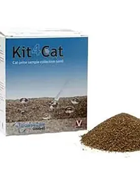 Échantillon De Sable Kit4cat 300g 3 Unités Grey One Size - Kruuse - FashionsVida