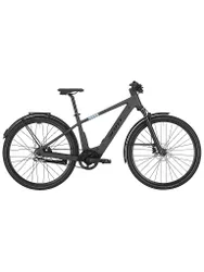 Herren E-Bike Passage 10 Belt grau M M