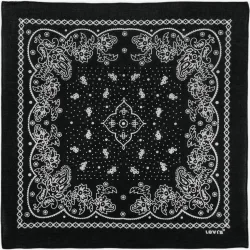 Levi's - Bandana paisley