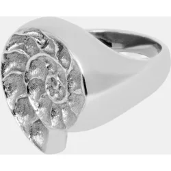 Anillo Isola sello Caracola