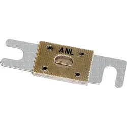 Anl Fuse Gold / Silver 60 A unisex