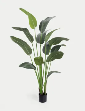 Ft Artificial Strelitzia Plant Green - Blooming Artificial - FashionsVida