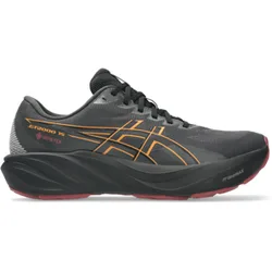GT-2000 15 GTX Laufschuhe Herren Graphite Grey Gr. 49