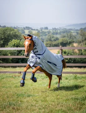 Pony-Fliegendecke Buzz-Off Full Neck, blue 115 - Bucas - FashionsVida