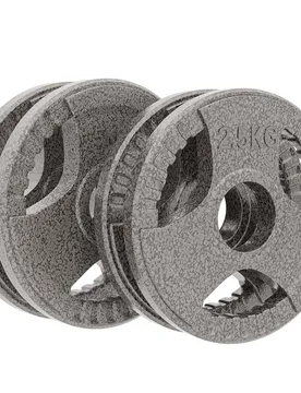 Olympic Weight Plates Sets with 2 x 5kg, 2 x 2.5kg StrengthTraining in Silver Size: Standard - Silver - Size: Standard - HomCom - FashionsVida