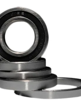 Cuscinetti Ceramic Silver - Black Bearing - FashionsVida