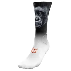 Calzini Gorilla Multicolour EU 40-43