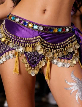 Faja de cadera para danza del vientre con adornos de strass y monedas - Cinturón de terciopelo con flecos, accesorio para atuendo de baile y fiesta ( - Shein - FashionsVida