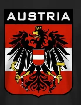 Austrian State Flag T-Shirt Men's 100% Cotton Casual T-shirts Loose Top Size S-3XL - Aliexpress - FashionsVida