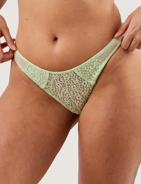 Womens Laura Brief - Green Lace - Size 20 Uk - Deja Day - FashionsVida
