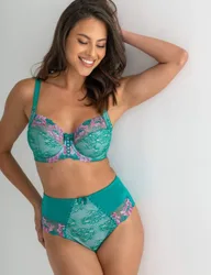 Sofia Lace Embroidered Full Briefs Pink Mix female