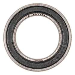 Cuscinetti 6180 Silver