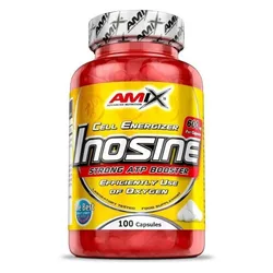 Amix Comprimés Inosine 100 Unités