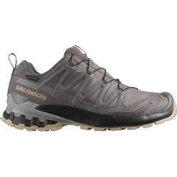 XA Pro 3D v9 GTX Plum Kitten / Black / Gull 38 Damen