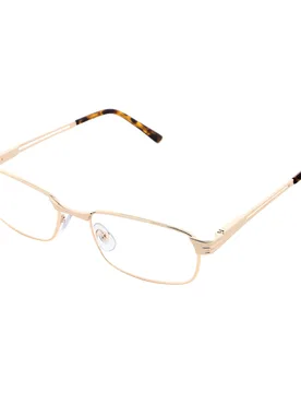 Lesebrillen "elegant" + Gratis Etui gold - Michael Pachleitner Group - FashionsVida