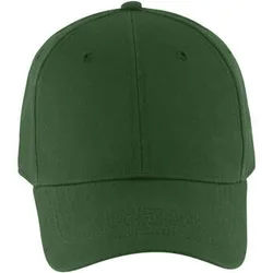 Schirmmütze Blaze Flaschengrün - 6-Panel-Baumwollkappe Einheitsgrösse Female